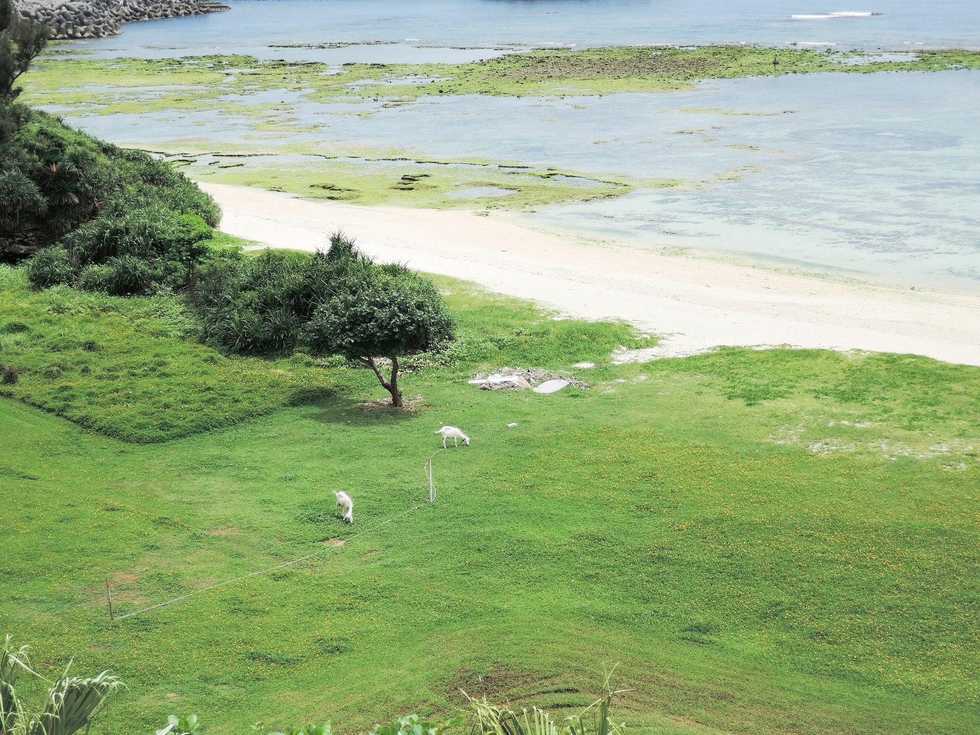 Morimar Resort Hotel Yomitan Bagian luar foto